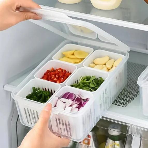 6 Grid Fridge Storage Container, Plastic