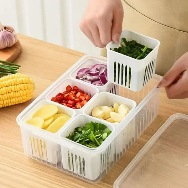 6 Grid Fridge Storage Container, Plastic