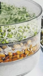 4 CONTAINER LAYER SPROUT BOWL -Organic Home Making Fresh Sprouts Makers for Home Material